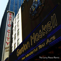 Thumbnail for the Gordon Haskell - How Wonderful You Are (Larry Peace Mix - Radio Edit) link, provided by host site
