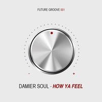 Thumbnail for the Damier Soul - How Ya Feel link, provided by host site