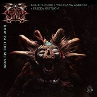 Thumbnail for the Kill The Noise - How Ya Like Me Now link, provided by host site