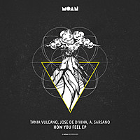 Thumbnail for the Tania Vulcano - How You Feel link, provided by host site