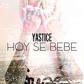 Thumbnail for the Yastice - Hoy Se Bebe link, provided by host site