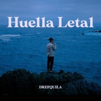 Thumbnail for the DrefQuila - Huella Letal link, provided by host site