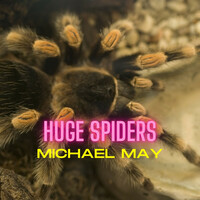 Thumbnail for the Michael May - Huge Spiders link, provided by host site