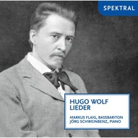 Thumbnail for the Markus Flaig - Hugo Wolf: Lieder link, provided by host site
