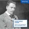 Thumbnail for the Markus Flaig - Hugo Wolf: Lieder link, provided by host site