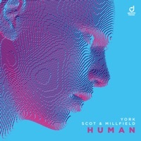 Thumbnail for the York - Human link, provided by host site