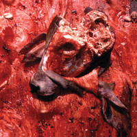 Thumbnail for the Cattle Decapitation - Human Jerky link, provided by host site