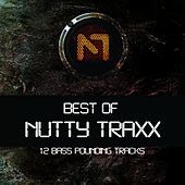Thumbnail for the Nutty T - Humanity link, provided by host site