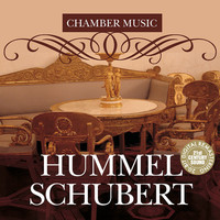Thumbnail for the Sviatoslav Knushevitsky - Hummel & Schubert: Chamber Music link, provided by host site