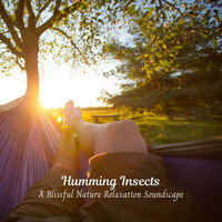 Thumbnail for the Nature Sounds Library - Humming Insects: A Blissful Nature Relaxation Soundscape link, provided by host site