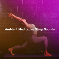 Image of Meditation Relaxation Club linking to their artist page due to link from them being at the top of the main table on this page