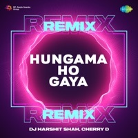 Thumbnail for the Sophie Chaudhary - Hungama Ho Gaya (From "Queen") [Remix] link, provided by host site