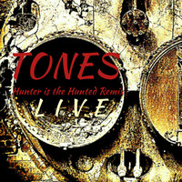 Thumbnail for the Tones - Hunter is the Hunted [Remix] link, provided by host site