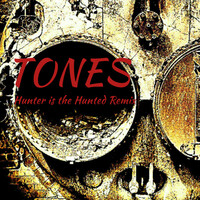 Thumbnail for the Tones - Hunter is the Hunted (Remix) link, provided by host site