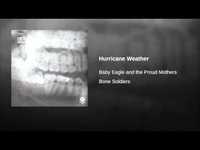Thumbnail for the Steven Lambke - Hurricane Weather link, provided by host site