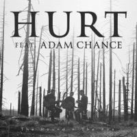 Thumbnail for the The Hound + The Fox - Hurt link, provided by host site