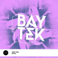 Image of Baytek linking to their artist page due to link from them being at the top of the main table on this page