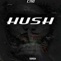 Thumbnail for the CNG - Hush link, provided by host site