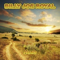 Thumbnail for the Billy Joe Royal - Hush link, provided by host site