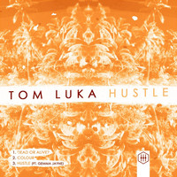 Thumbnail for the Tom Luka - Hustle link, provided by host site