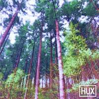 Thumbnail for the HUX - HUX link, provided by host site