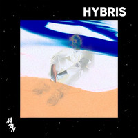 Thumbnail for the Maan - HYBRIS link, provided by host site