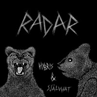 Image of Radar linking to their artist page due to link from them being at the top of the main table on this page