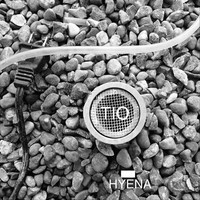Thumbnail for the Tio - Hyena link, provided by host site