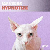 Thumbnail for the Jay Vegas - Hypnotize link, provided by host site