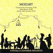 Thumbnail for the Uppsala Chamber Soloists - I. Allegro link, provided by host site