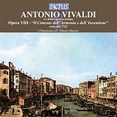 Thumbnail for the Paolo Pollastri - I. Allegro link, provided by host site