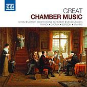 Thumbnail for the Kodaly Quartet - I. Allegro link, provided by host site
