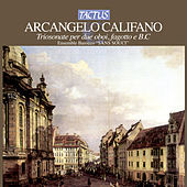 Thumbnail for the Ensemble Barocco Sans Souci - I. Allegro link, provided by host site