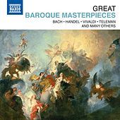 Thumbnail for the Cologne Chamber Orchestra - I. Allegro link, provided by host site