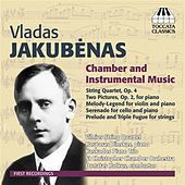 Thumbnail for the Vilnius String Quartet - I. Allegro link, provided by host site
