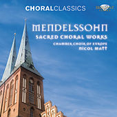 Thumbnail for the Chamber Choir of Europe - I. Allegro link, provided by host site