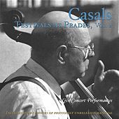 Thumbnail for the Rudolf Serkin - I. [Allegro] link, provided by host site