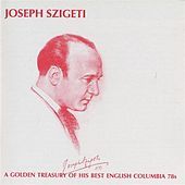 Thumbnail for the Joseph Szigeti - I. Allegro link, provided by host site
