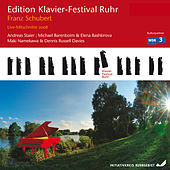 Thumbnail for the Michael Barenboim - I. Allegro moderato link, provided by host site