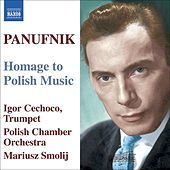 Thumbnail for the Polish Chamber Orchestra - I. Allegro moderato link, provided by host site