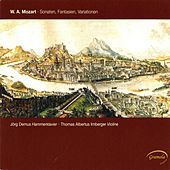 Thumbnail for the Jörg Demus - I. Allegro moderato link, provided by host site