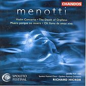 Thumbnail for the Jennifer Koh - I. Allegro moderato link, provided by host site