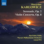 Thumbnail for the Ilya Kaler - I. Allegro moderato link, provided by host site