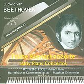 Thumbnail for the Annette Töpel - I. Allegro moderato link, provided by host site