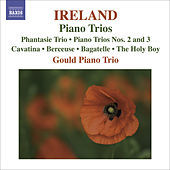 Thumbnail for the Gould Piano Trio - I. Allegro moderato link, provided by host site