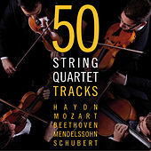 Thumbnail for the Berlin String Quartet - I. Allegro moderato link, provided by host site