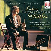 Thumbnail for the Roland Straumer - I. Allegro moderato link, provided by host site