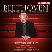 Thumbnail for the Howard Shelley - I. Allegro moderato link, provided by host site