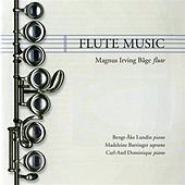 Thumbnail for the Bengt-Åke Lundin - I. Allegro moderato link, provided by host site