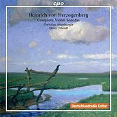 Thumbnail for the Christian Altenburger - I. Allegro moderato link, provided by host site